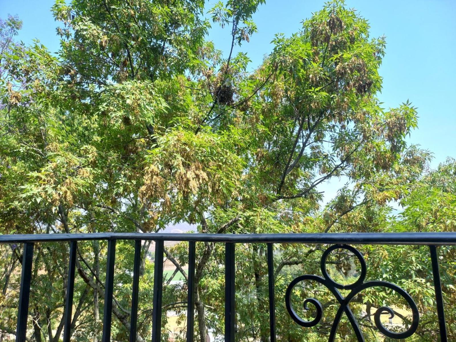 Solache Inn Zitácuaro Стая снимка