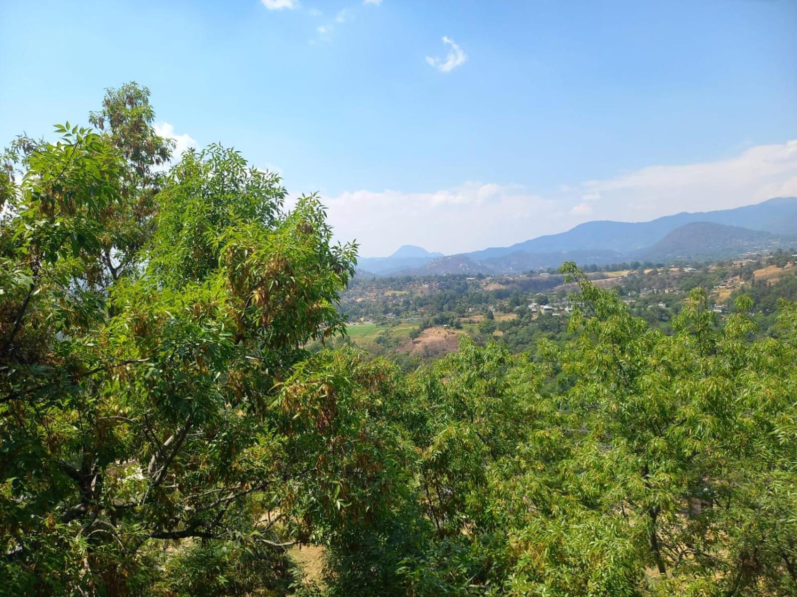 Solache Inn Zitácuaro Стая снимка